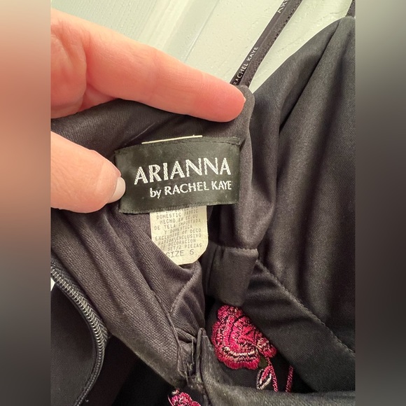 Arianna/Rachel Kaye gorgeous sleeveless gown w amazing embroidery. Size 6. - Picture 8 of 11